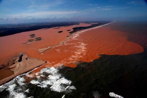 Aecom e Ministério confirmam contaminação de alimentos com metais