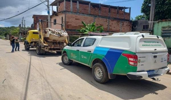 Fiscais flagram descarte irregular de lixo e multam infrator em R$ 10 mil na Serra