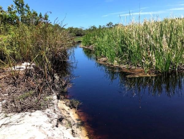 Trilhas e Lagoa de Caraís são fechadas após cheia em Guarapari