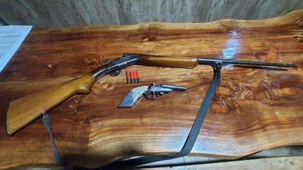 Polícia Civil prende homem com armas e munições em operação em Alto Rio Novo