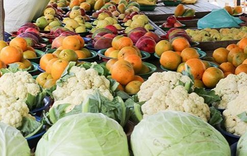 ​Assistência Social lança programa para comprar alimentos de produtores rurais