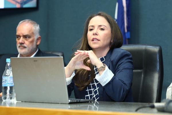 Historiadora retrata as primeiras campanhas políticas no estado
