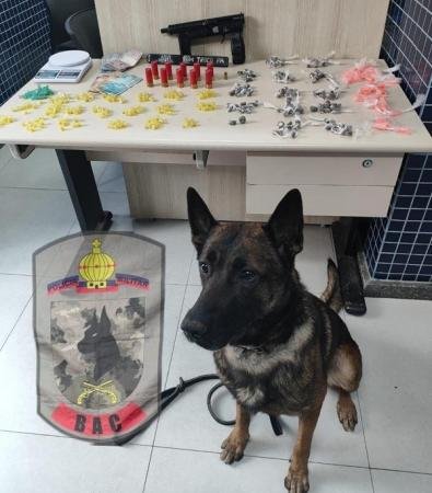 BAC apreende drogas, arma e munições em Vila Velha