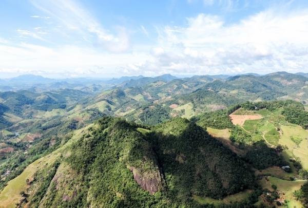 Espírito Santo ultrapassa 2 milhões de mudas plantadas e reafirma liderança nacional em recuperação da Mata Atlântica