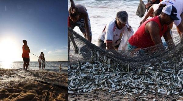 ​Semana do Pescado 2025 movimenta setor e promove consumo no Estado