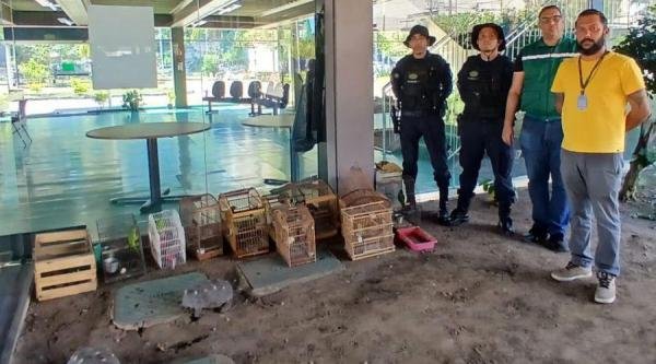 Operação da Prefeitura flagra maus-tratos e posse ilegal de animais silvestres