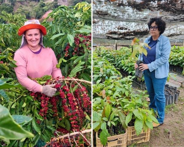 Do café ao cacau: projetos fortalecem e valorizam as mulheres rurais capixabas
