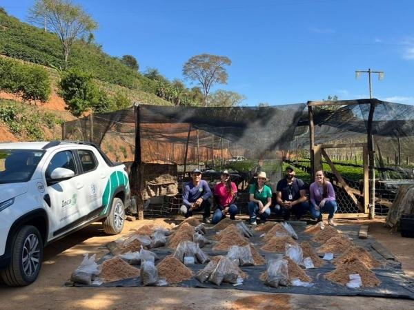 Experimento com substratos sustentáveis busca reduzir custos da produção de mudas de café