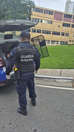 Criminoso invade prédio abandonado, furta fios e acaba detido pela Guarda Civil Municipal de Vitória