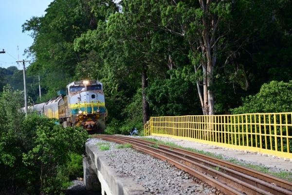 Trem de passageiros da Vale terá viagens noturnas; veja horário