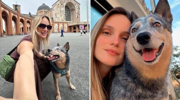 Cachorro ficou ao lado de engenheira morta no ES até chegada de socorro